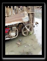 IMG-20191120-WA0028