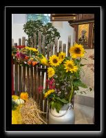 IMG_2431