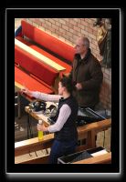 IMG_2120_bearb