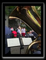 IMG_3959