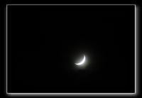 IMG_0951