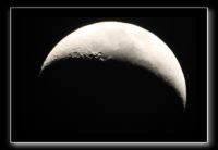 IMG_0979