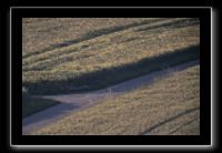 IMG_1952