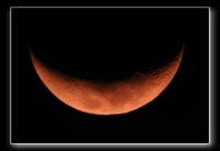 IMG_0017