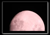 IMG_2539