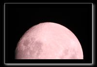 IMG_2540