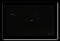 IMG_3061