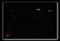 IMG_3829