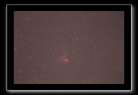 IMG_4261