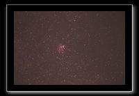 IMG_4341