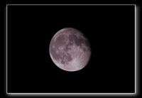 IMG_5100