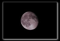 IMG_5101