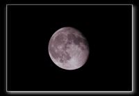 IMG_5102