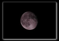 IMG_5105