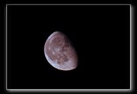 IMG_5187