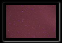 IMG_5514