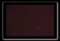 IMG_5527