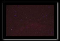 IMG_5533