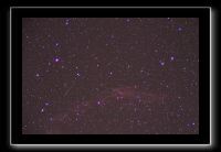 IMG_5536