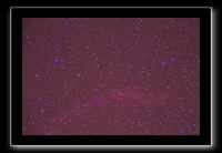 IMG_5537