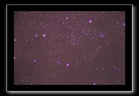 IMG_5551