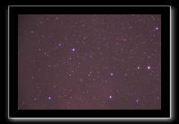 IMG_5556