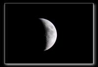 IMG_5445