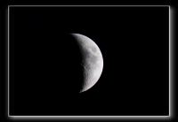 IMG_5446