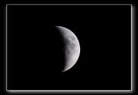 IMG_5447