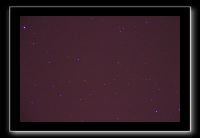 IMG_5449