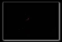 IMG_5785