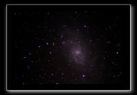 M33