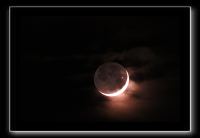 IMG_6251