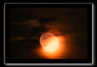IMG_6253