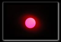 IMG_6303