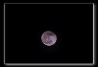 IMG_6574