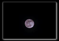 IMG_6575