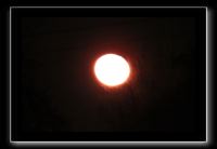 IMG_6808