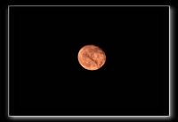 IMG_6809