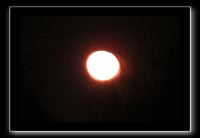 IMG_6810