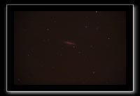 IMG_4915
