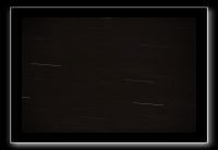 IMG_7550