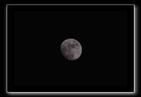 IMG_8908