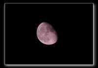 IMG_5578
