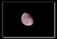 IMG_5579