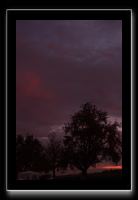 IMG_5593