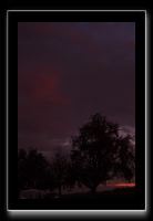 IMG_5595