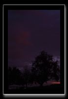 IMG_5596