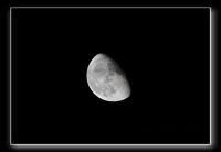 IMG_5729