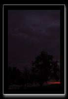 IMG_5585